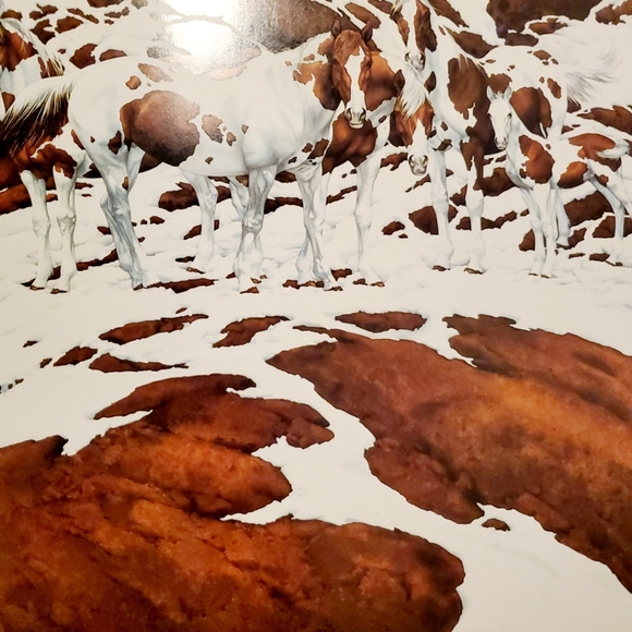 The Art of BEV DOOLITTLE by Elise Maclay (Oct 1990, Hardcover) Coffee Table Book - Picture 12 of 15